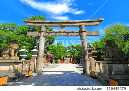 [大阪府]晴朗的住吉大社表參道（西大鳥居） 116442979