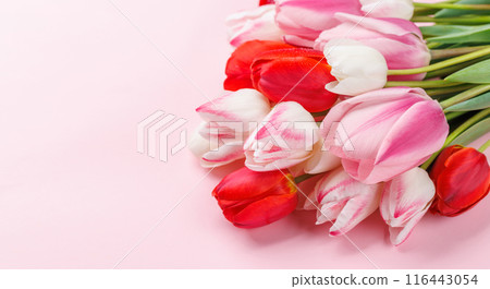 Pastel colorful tulips grace the table, providing a serene and vibrant backdrop 116443054
