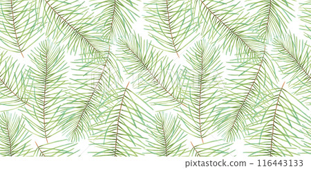 Seamless pattern of pine and fir branches. Christmas background with evergreens. Illustration with watercolor, marker. Hand drawn isolated art. Natural wallpaper for the New Year with a cedar branch. Seamless pattern of pine and fir branches. Christmas background with evergreens. Illustration with watercolor, marker. Hand drawn isolated art. Natural wallpaper for the New Year with a cedar branch. 116443133