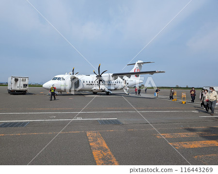 Landing Airplane Landing Airplane 116443269