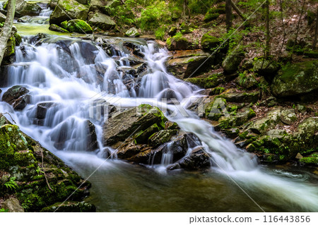 瀧川溪谷 Seseragi 瀑布（福島縣山津町） 116443856