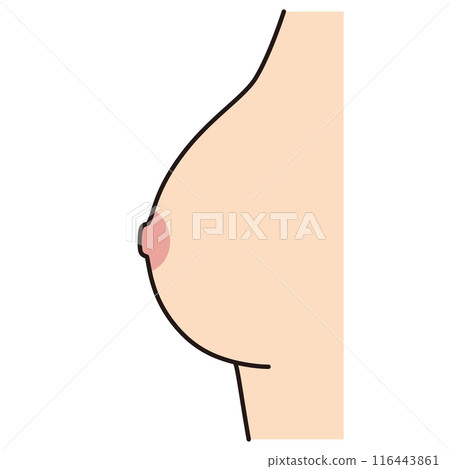 扁平乳頭，從側面看乳房，乳頭，胸圍 116443861