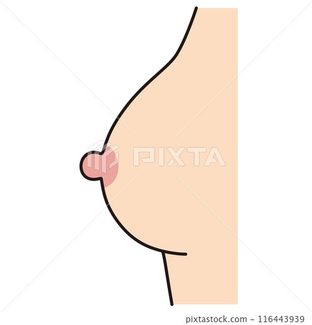 巨大的乳頭，從側面看到的乳房，乳頭，胸圍 116443939