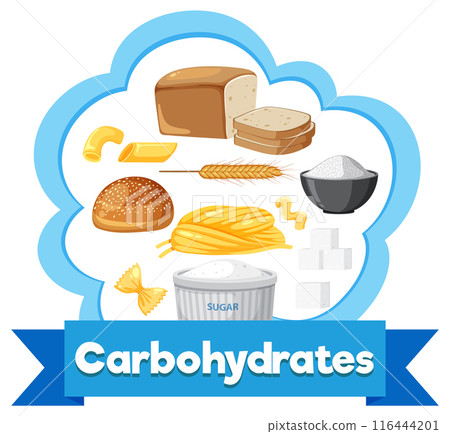 Types of Carbohydrate Foods 116444201