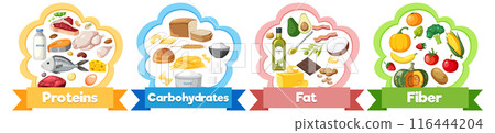 Balanced Diet Food Groups Illustration 116444204