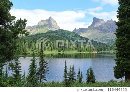 Shore of large mountain lake Svetloye, Zvezdnyy and Pittas peaks, Ergaki nature park. Summer landscape at good weather.  116444333