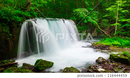 Oirase Stream: Choshi Falls 116444459
