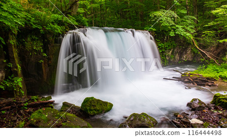 Oirase Stream: Choshi Falls Oirase Stream: Choshi Falls 116444498