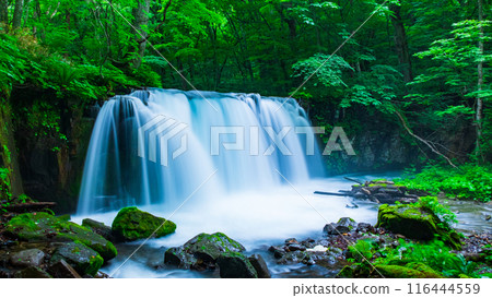 Oirase Stream: Choshi Falls Oirase Stream: Choshi Falls 116444559