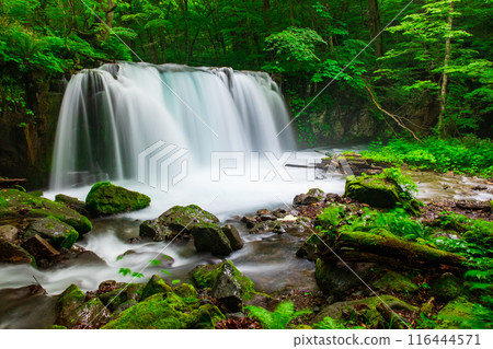 奧入瀨溪：銫子大瀧 116444571