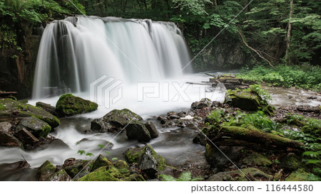 Oirase Stream: Choshi Falls 116444580