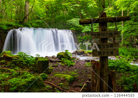 Oirase Stream: Choshi Falls 116444585
