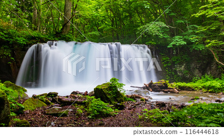 Oirase Stream: Choshi Falls 116444618