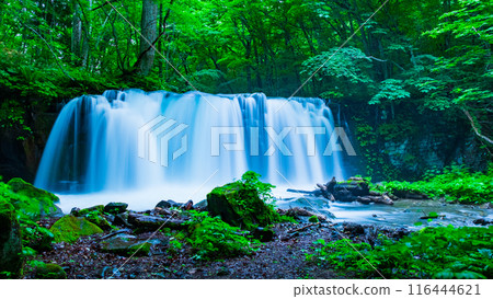 Oirase Stream: Choshi Falls Oirase Stream: Choshi Falls 116444621