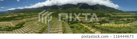 Aerial view panoramic of beautiful terraced rice field and road .Taitung ,Taiwan. 116444673