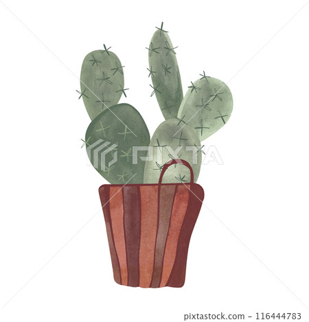 Cactus in a wicker basket. Plants for the home. Floriculture. Interior decoration. Isolated watercolor illustration on white background. Clipart. Cactus in a wicker basket. Plants for the home. Floriculture. Interior decoration. Isolated watercolor illustration on white background. Clipart. 116444783