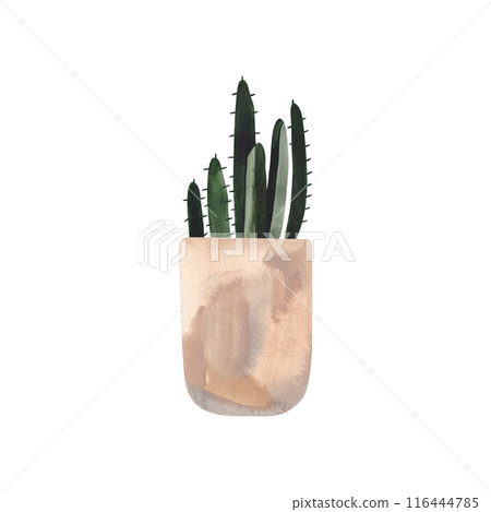 Cactus in a light concrete pot. Plants for the home. Floriculture. Interior decoration. Isolated watercolor illustration on white background. Clipart. Cactus in a light concrete pot. Plants for the home. Floriculture. Interior decoration. Isolated watercolor illustration on white background. Clipart. 116444785