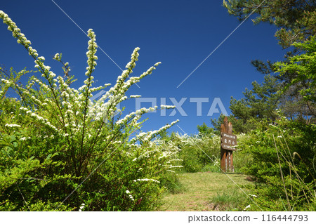龍門山頂（紀石毛附）[和歌山縣紀之川市] 116444793