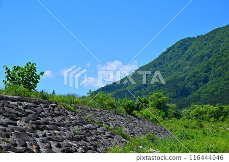 三俁水上樂園、灣鴨群附近、清津川、河床風景 三俁水上樂園、灣鴨群附近、清津川、河床風景 116444946