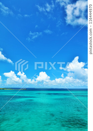 Okinawa Miyakojima blue sky and sea Okinawa Miyakojima blue sky and sea 116444970