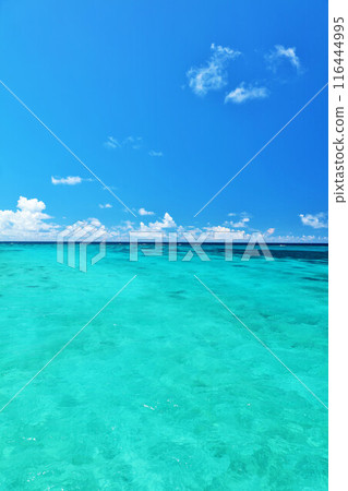 Okinawa Miyakojima blue sky and sea Okinawa Miyakojima blue sky and sea 116444995