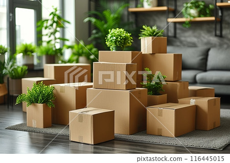 Room full of boxes for moving and plants 116445015