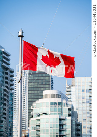 加拿大國旗在溫哥華格蘭維爾島飄揚 加拿大國旗在溫哥華格蘭維爾島飄揚 116445031