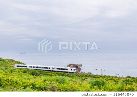 "Aomori Prefecture" Tohoku Emotion Running Along the Ashikaga Coast, Hachinohe City 116445070
