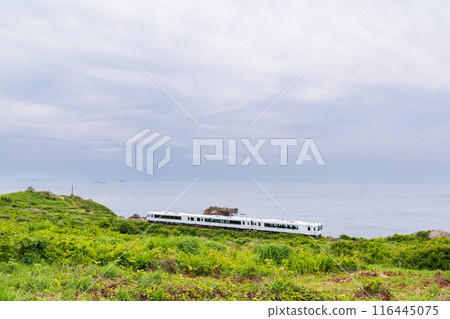 "Aomori Prefecture" Tohoku Emotion Running Along the Ashikaga Coast, Hachinohe City 116445075