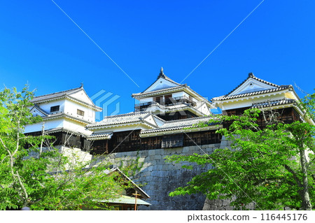 [Ehime Prefecture] Matsuyama Castle in sunny weather (large and small keep) 116445176