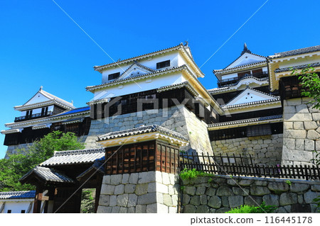 [愛媛縣]晴朗的松山城（主舞台） 116445178