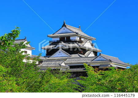 [Ehime Prefecture] Matsuyama Castle on a clear day 116445179