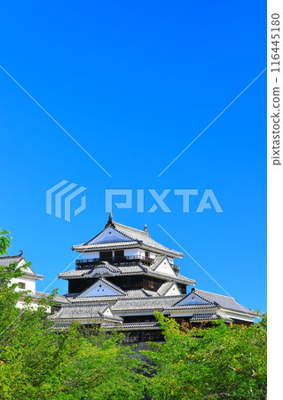 [Ehime Prefecture] Matsuyama Castle on a clear day 116445180