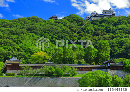 [Ehime Prefecture] Matsuyama Castle seen from Shiroyama Park (Ninomaru Historical Garden and Castle Tower) 116445186
