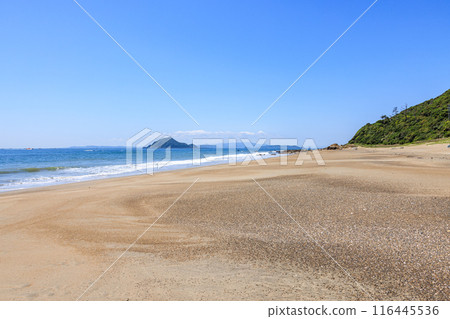 愛知縣田原市伊良湖岬的小路濱海灘 116445536