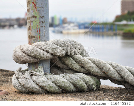 Rope Rope 116445582
