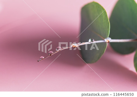 恩典的水滴 恩典的水滴 116445650