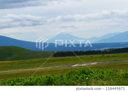 霧峰高原、小清水以及從遺忘之丘眺望富士山 霧峰高原、小清水以及從遺忘之丘眺望富士山 116445671