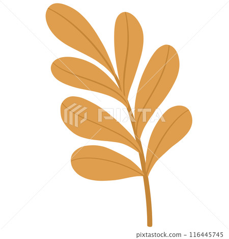 Autumn leaves Autumn leaves 116445745
