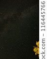 I look up to the starry sky 116445766