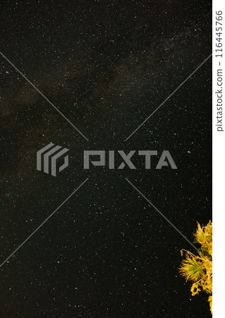 I look up to the starry sky I look up to the starry sky 116445766