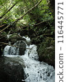 Small waterfall 116445771