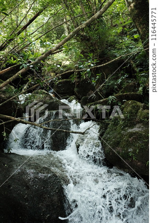 Small waterfall Small waterfall 116445771