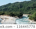 A mountain river surrounded by fresh greenery 116445778
