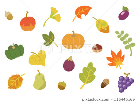 Set of autumn fruits and vegetables and autumn colored leaves 116446169