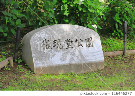 Gongendo Park, Satte City, Saitama Prefecture 116446277