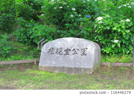 Gongendo Park, Satte City, Saitama Prefecture Gongendo Park, Satte City, Saitama Prefecture 116446279