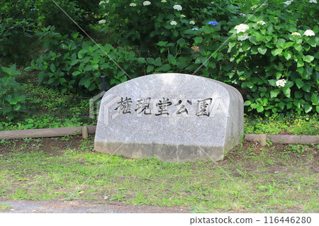 Gongendo Park, Satte City, Saitama Prefecture Gongendo Park, Satte City, Saitama Prefecture 116446280