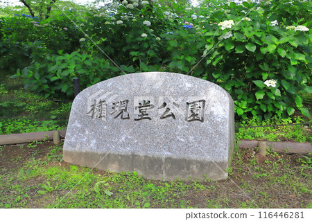 Gongendo Park, Satte City, Saitama Prefecture 116446281