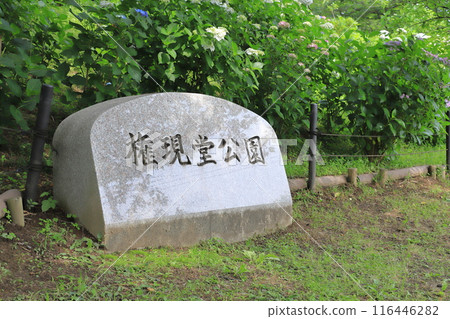 Gongendo Park, Satte City, Saitama Prefecture 116446282